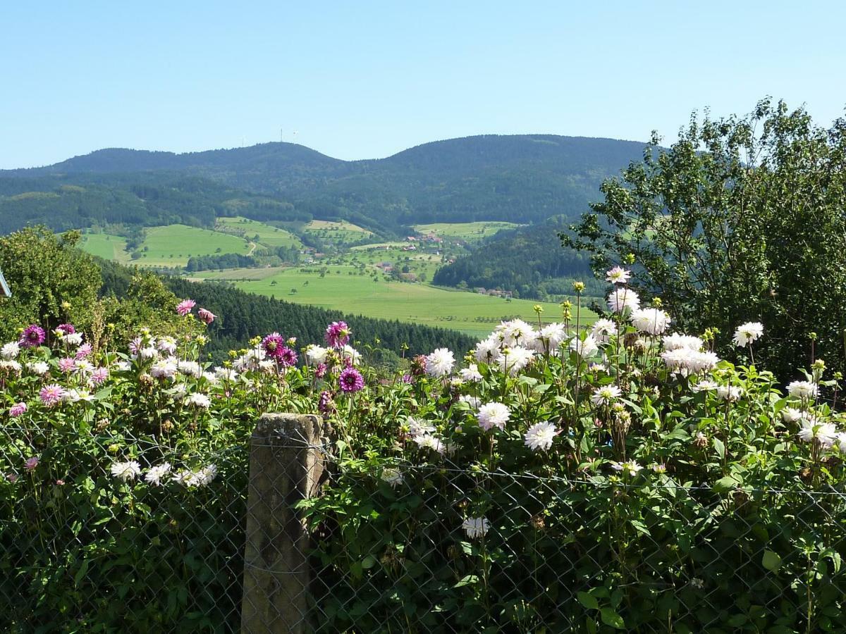 Ferienhaus Eck Zell am Harmersbach Εξωτερικό φωτογραφία